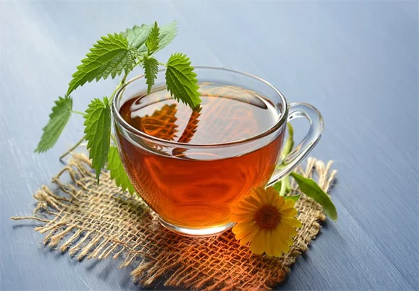 5 Plant-Based Face Mask Recipes You Can Grow in Your Garden