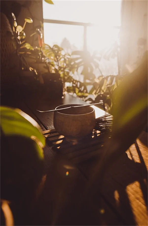 Fall Container Garden Vegetables: 8 Easy Crops to Grow